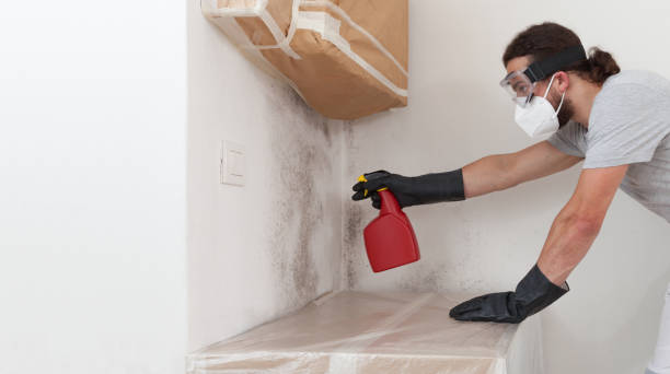 Attic Mold Remediation treatment on roof deck in East Freedom
