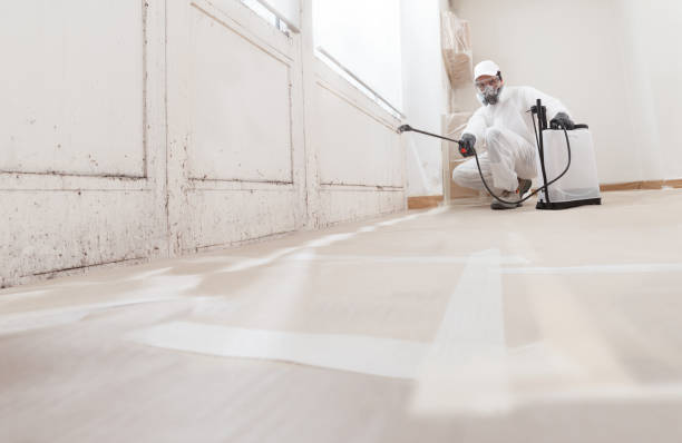 Black mold remediation team in East Freedom